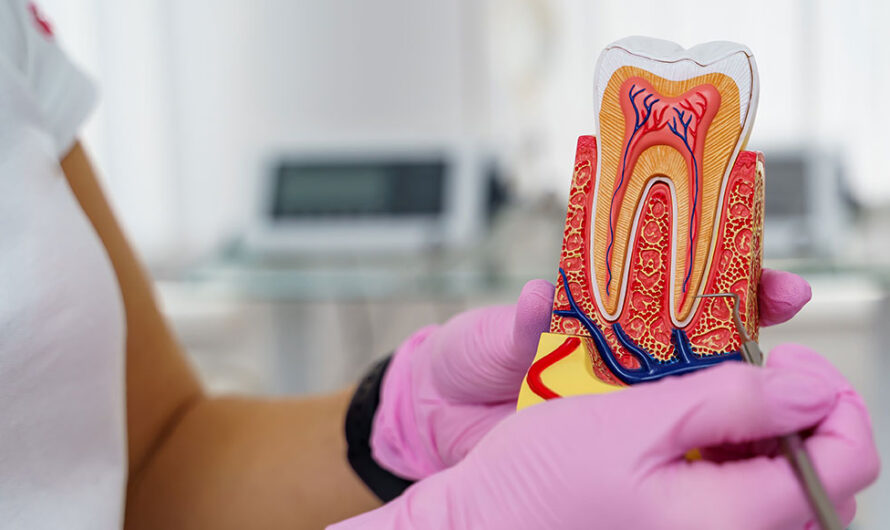 Root Canal Myths Debunked: Understanding Modern RCT Procedures in Jogeshwari
